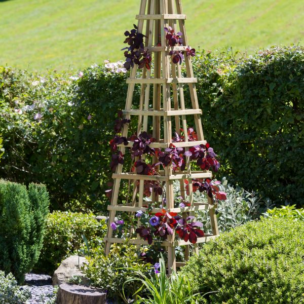Image of Snowdon Obelisk