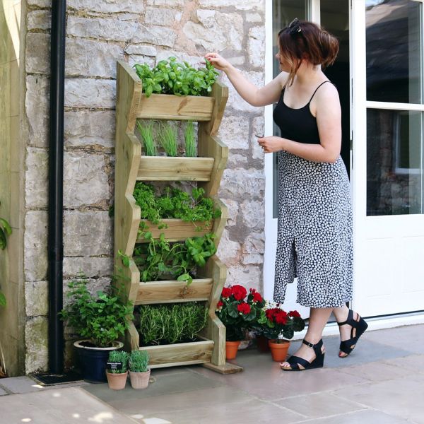 Image of Tall Vertical Herb Stand