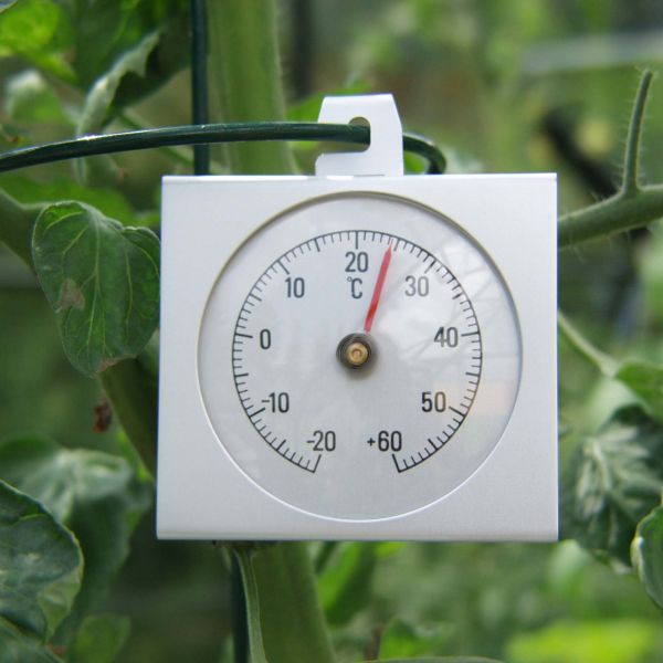 Image of Vitavia Thermometer