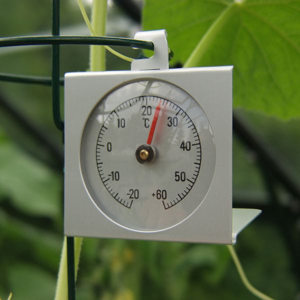 Image of Vitavia Thermometer