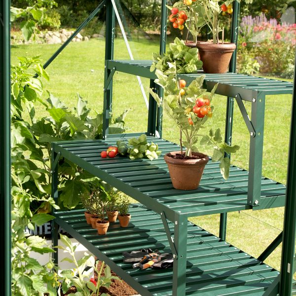 Image of Vitavia Top Tier Staging (Green)