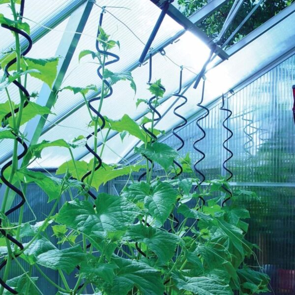 Halls Plant Spirals