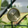 Vitavia Hygrometer