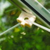 Vitavia Screwhooks (10 pieces)