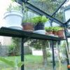Vitavia Aluminium Shelf (Green)