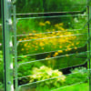 Vitavia 5 Blade Louvre Window (Anodised Aluminium) - Image 2